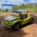 buggy_locadora_oceanic